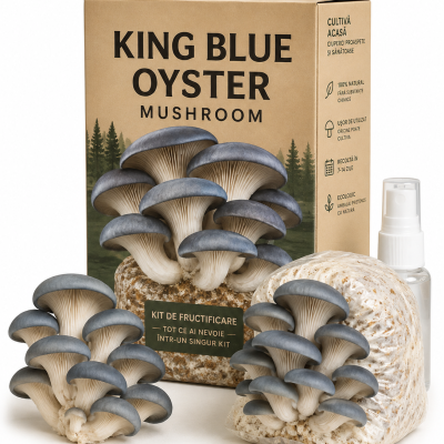 Grow Kit Pleurotus Blue