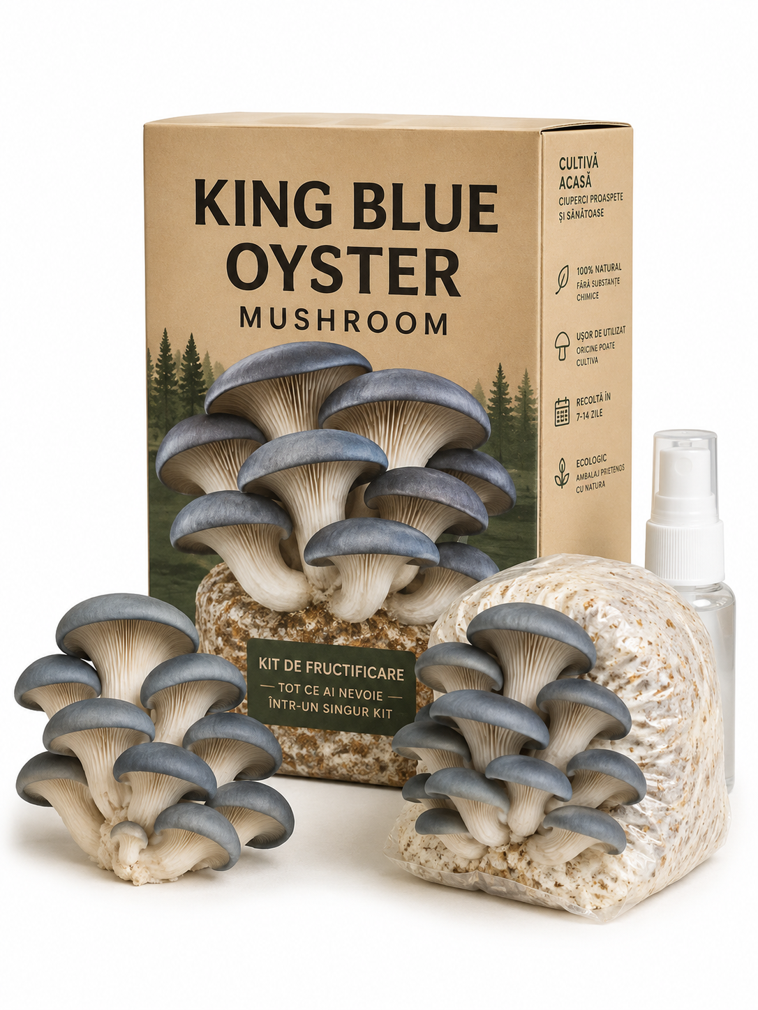 Grow Kit Pleurotus Blue